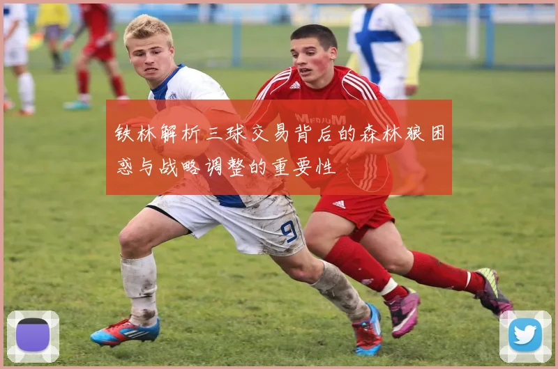 铁林解析三球交易背后的森林狼困惑与战略调整的重要性