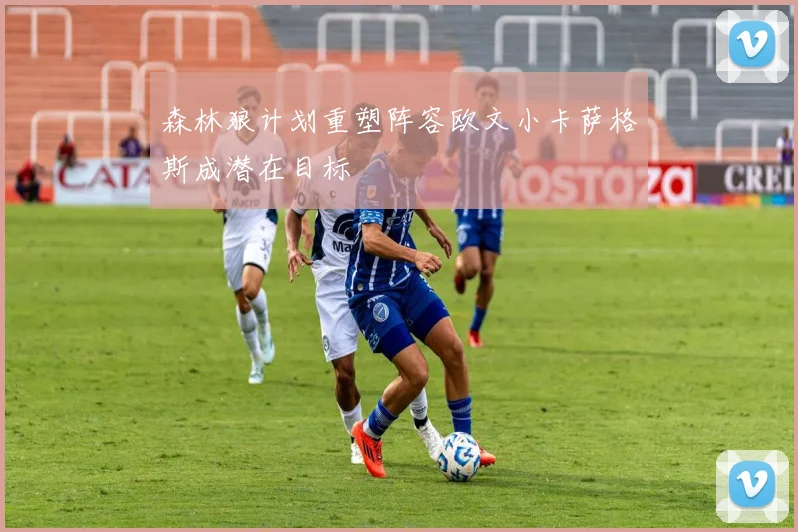 森林狼计划重塑阵容欧文小卡萨格斯成潜在目标