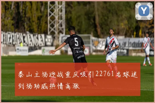 泰山主场迎战重庆吸引22761名球迷到场助威热情高涨