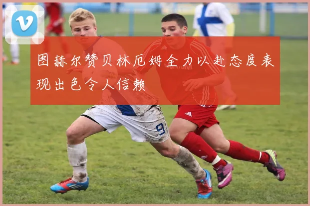 图赫尔赞贝林厄姆全力以赴态度表现出色令人信赖