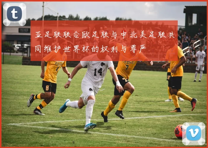 亚足联联合欧足联与中北美足联共同维护世界杯的权利与尊严